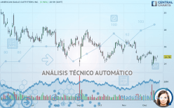 AMERICAN EAGLE OUTFITTERS INC. - Diario