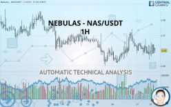 NEBULAS - NAS/USDT - 1 Std.