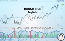 ROUGH RICE - Journalier