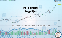 PALLADIUM - Dagelijks