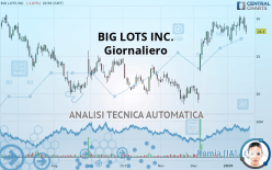 BIG LOTS INC. - Giornaliero