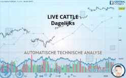 LIVE CATTLE - Daily