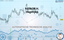 NEINOR H. - Dagelijks