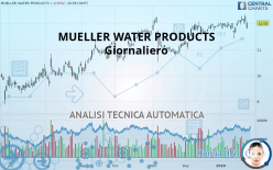 MUELLER WATER PRODUCTS - Giornaliero