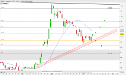 POXEL - Daily