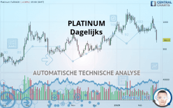 PLATINUM - Journalier