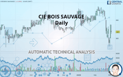 CIE BOIS SAUVAGE - Daily