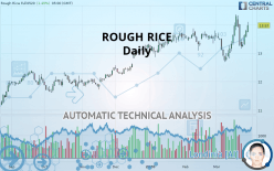 ROUGH RICE - Daily