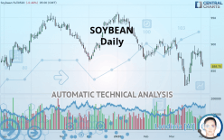 SOYBEAN - Daily