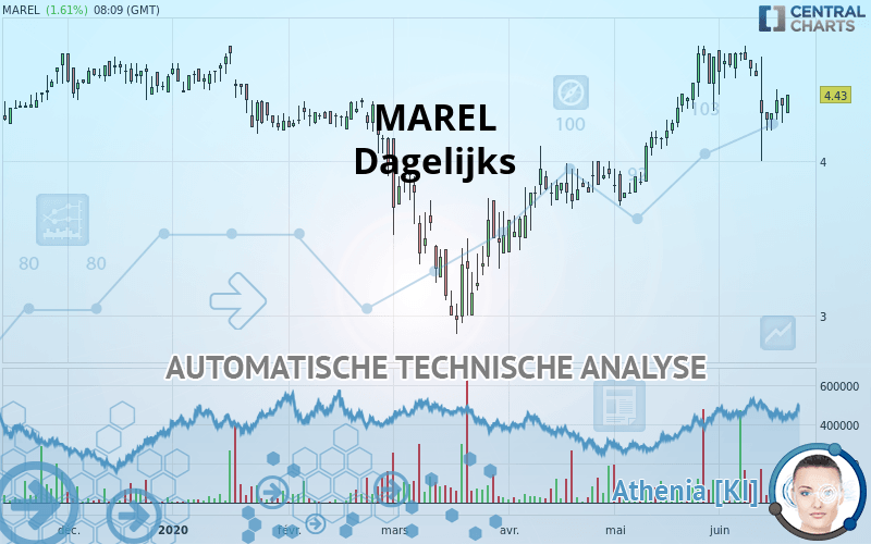 MAREL - Dagelijks