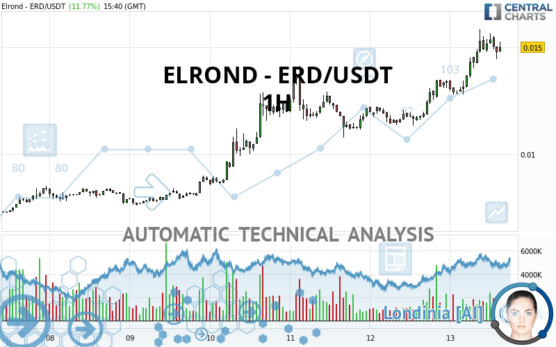 ELROND - ERD/USDT - 1 Std.