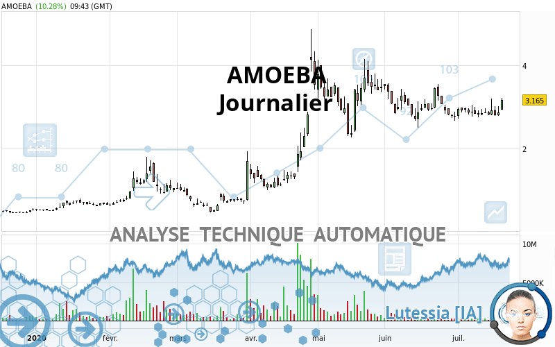 AMOEBA - Journalier