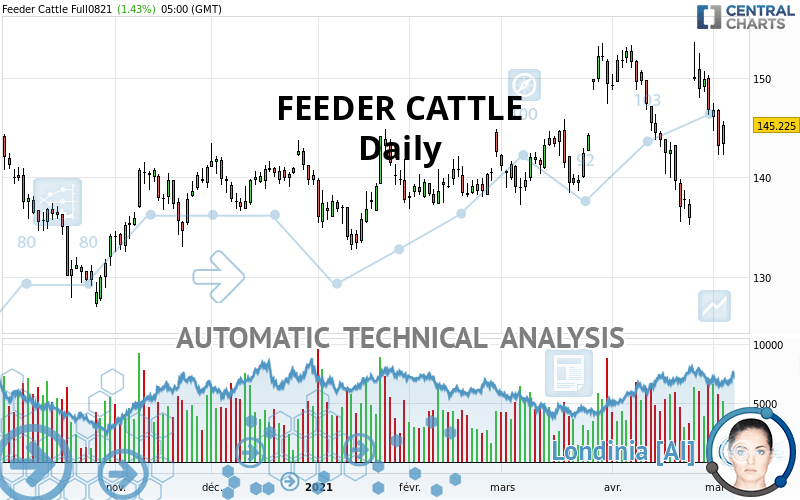 FEEDER CATTLE - Daily