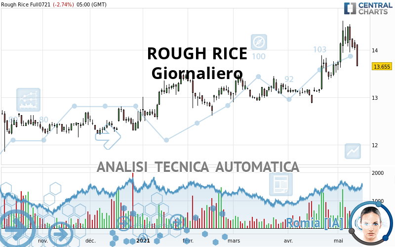 ROUGH RICE - Giornaliero