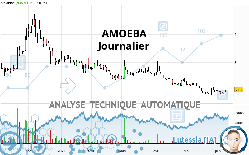 AMOEBA - Journalier