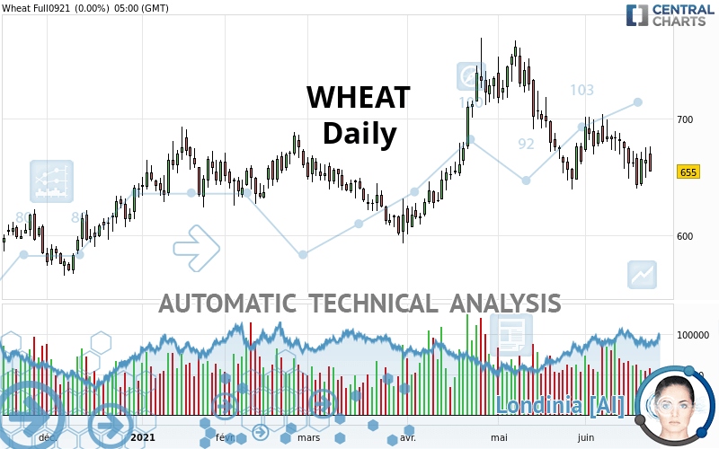 WHEAT - Daily