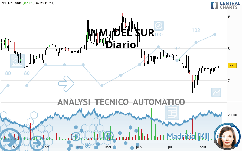 INM. DEL SUR - Diario