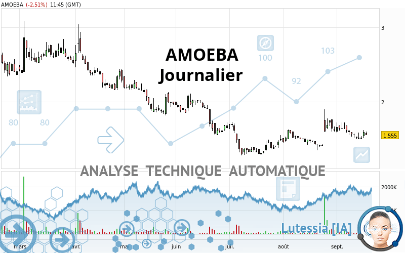 AMOEBA - Journalier