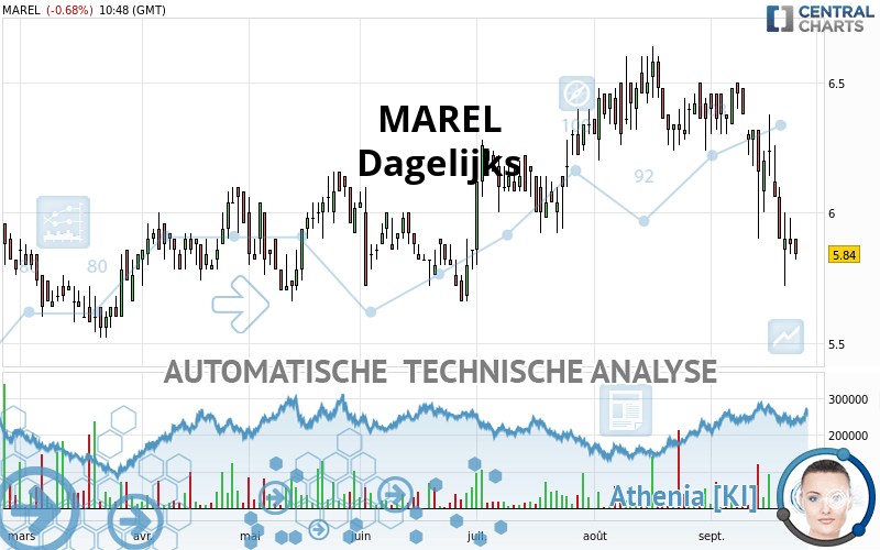 MAREL - Dagelijks