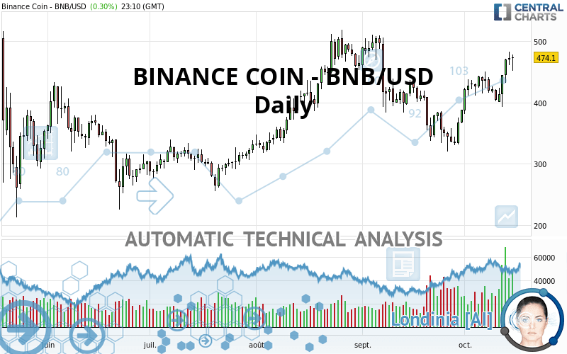 BINANCE COIN - BNB/USD - Daily