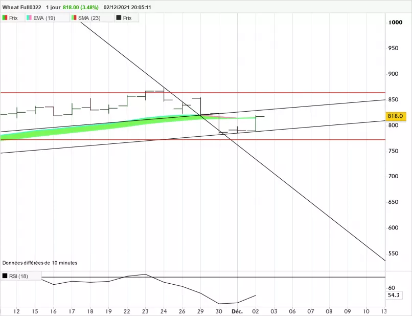 WHEAT - Daily
