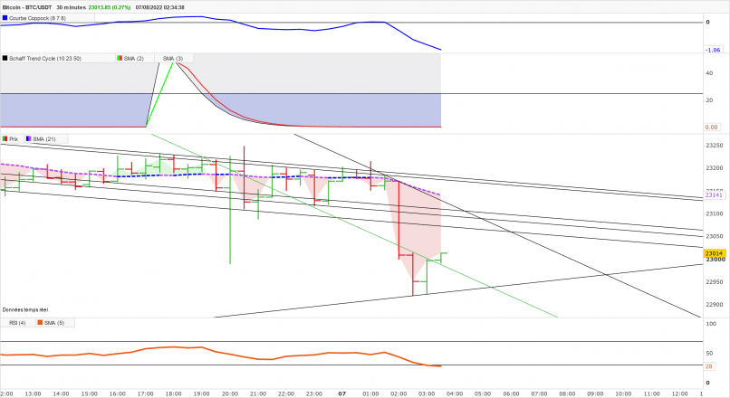 BITCOIN - BTC/USDT - 30 min.