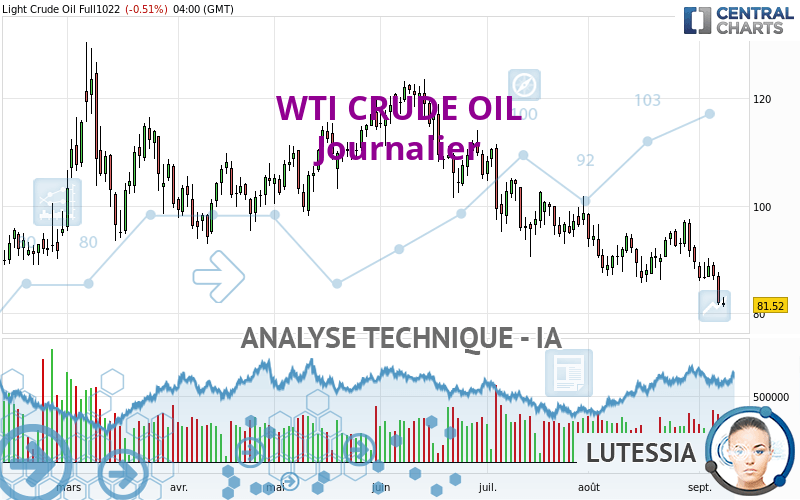 WTI CRUDE OIL - Dagelijks