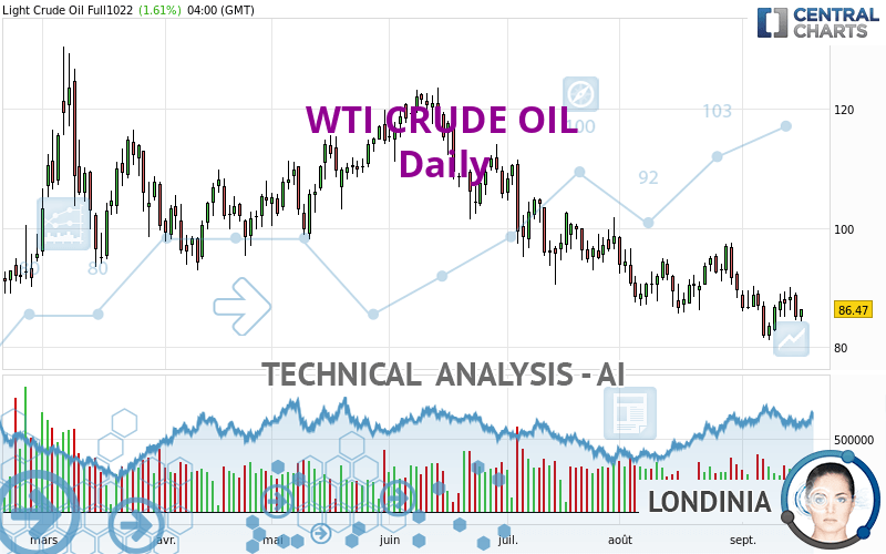 WTI CRUDE OIL - Dagelijks