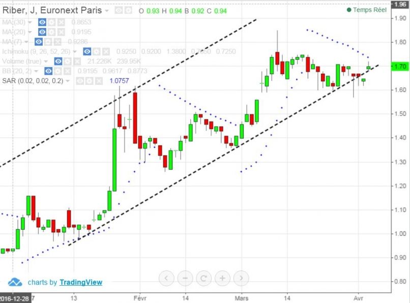 RIBER - Daily