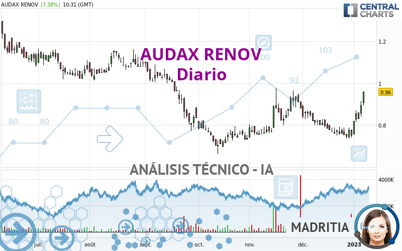 AUDAX RENOV - Diario