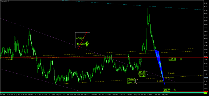 WHEAT - Daily