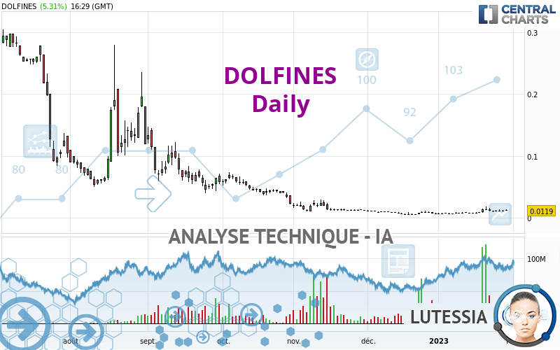 DOLFINES - Giornaliero