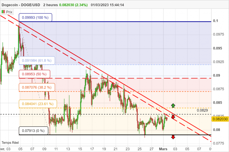 DOGECOIN - DOGE/USD - 2 uur