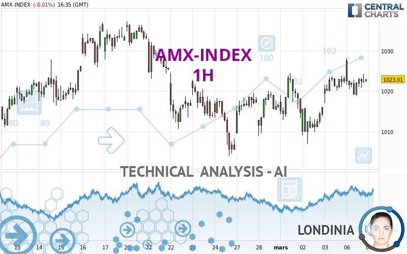 AMX-INDEX - 1 uur