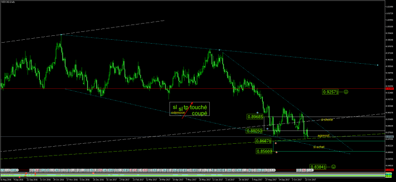 NZD/CAD - Daily