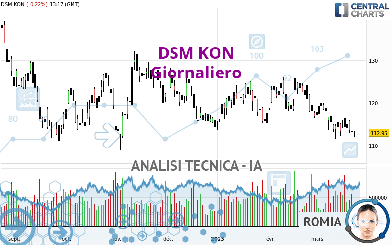 DSM KON - Giornaliero