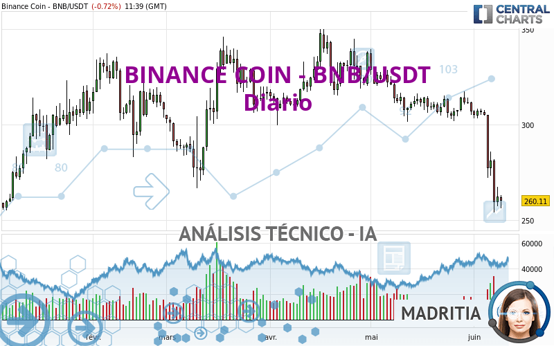BINANCE COIN - BNB/USDT - Giornaliero