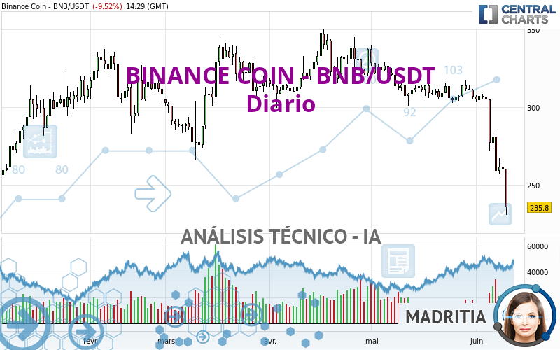 BINANCE COIN - BNB/USDT - Giornaliero