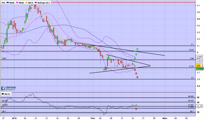 GENOMIC VISION - 4H