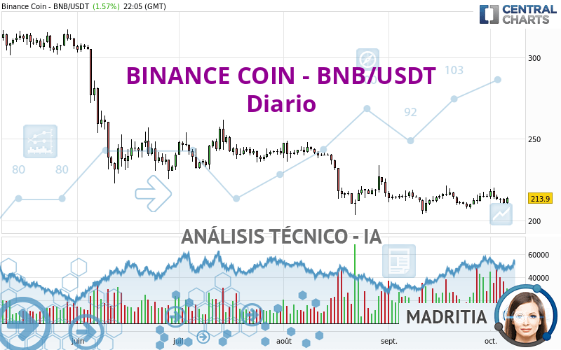 BINANCE COIN - BNB/USDT - Daily
