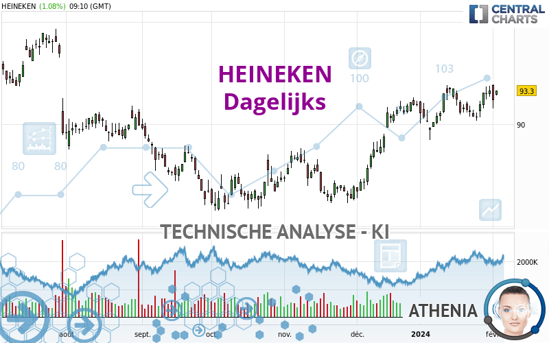 HEINEKEN - Daily