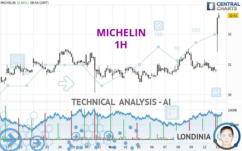 MICHELIN - 1H