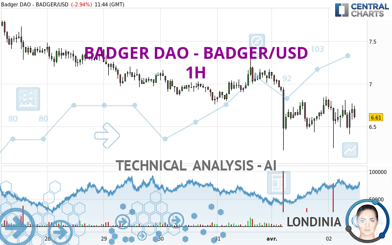 BADGER DAO - BADGER/USD - 1H