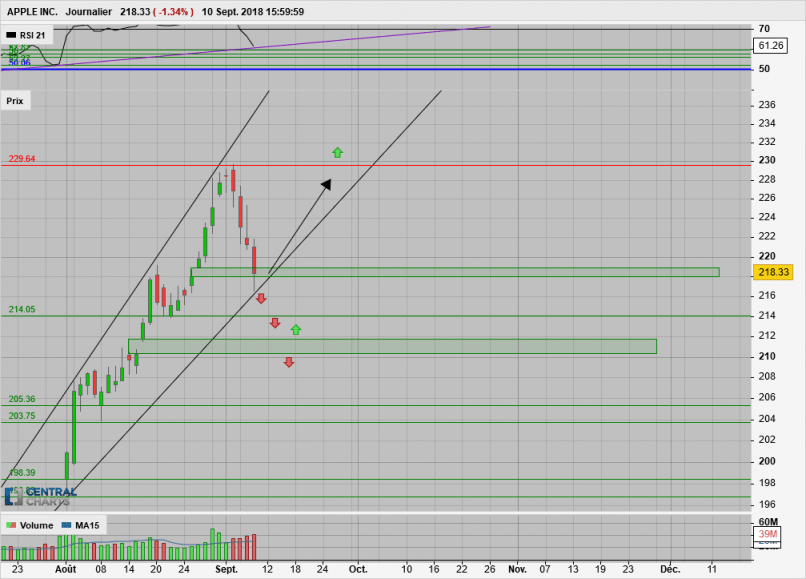 APPLE INC. - Diario