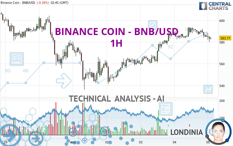 BINANCE COIN - BNB/USD - 1 uur