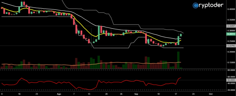 RIPPLE - XRP/EUR - Täglich