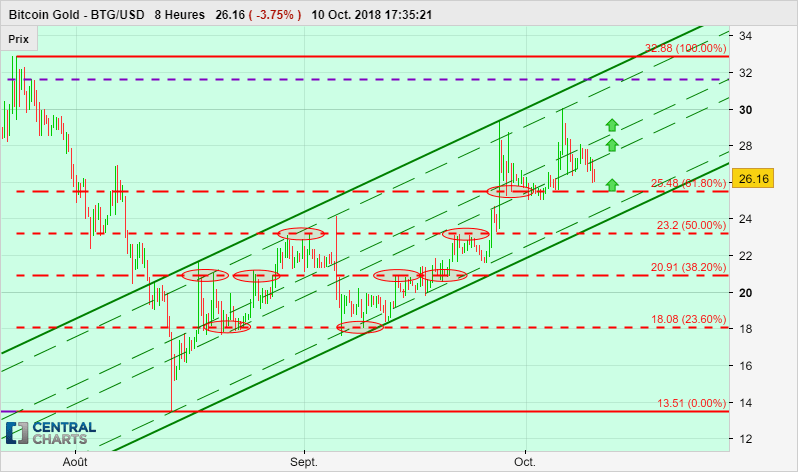 BITCOIN GOLD - BTG/USD - 8H