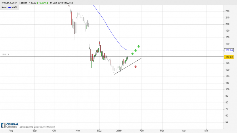 NVIDIA CORP. - Daily