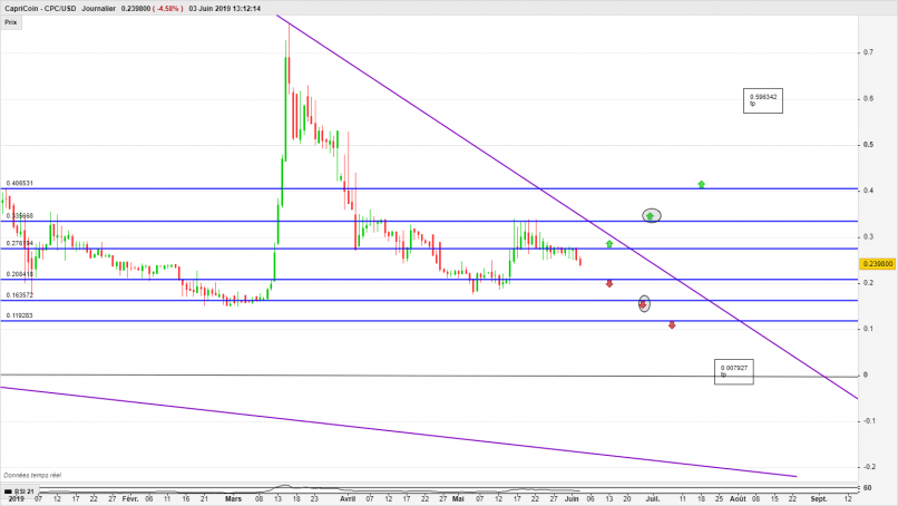 CAPRICOIN - CPC/USD - Journalier