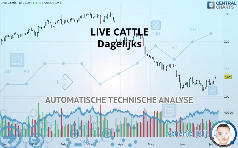 LIVE CATTLE - Journalier